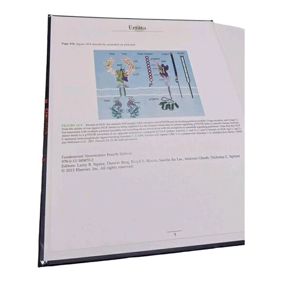 Fundamental Neuroscience by Squire, Berg, Bloom, Lac, Ghosh, Spitzer - Picture 4 of 7